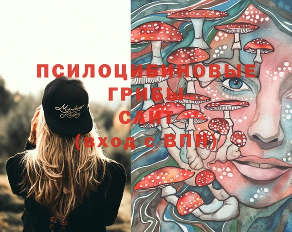 молекула духа Елизово