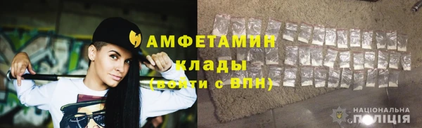 молекула духа Елизово