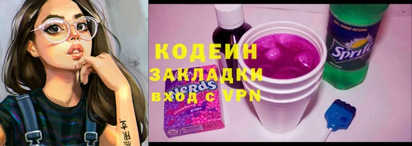 молекула духа Елизово