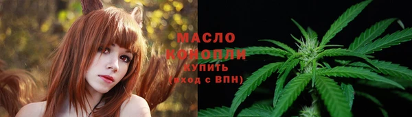 молекула духа Елизово