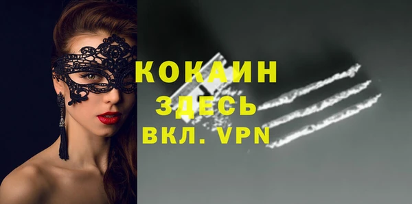молекула духа Елизово