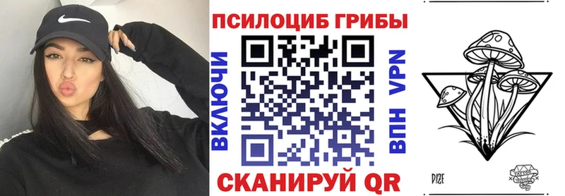 мега Усть-Джегута Галлюциногенные грибы Psilocybine cubensis где найти