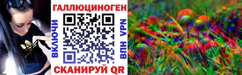 Галлюциногенные грибы Cubensis Усть-Джегута